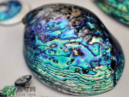 nike air foamposite one abalone鮑魚噴多少錢？