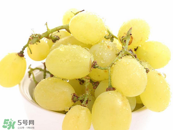 馬奶葡萄什么時(shí)候上市？馬奶葡萄2017上市時(shí)間