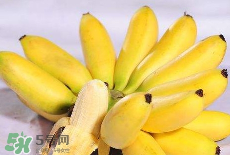 芭蕉和香蕉哪個(gè)貴？芭蕉和香蕉哪個(gè)好