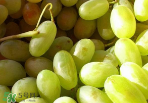 馬奶葡萄怎么保存？馬奶葡萄保存方法