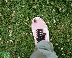 stussy與vans2017春夏系列聯(lián)名鞋子什么時候發(fā)售？