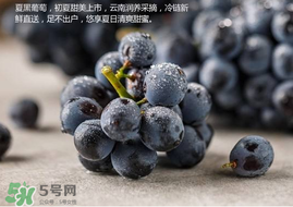 無籽葡萄孕婦能不能吃？無籽葡萄和葡萄的區(qū)別