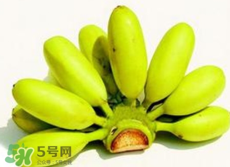 芭蕉和桃子能一起吃嗎？芭蕉可以和桃子一起吃嗎