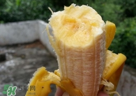 芭蕉熱量高嗎？芭蕉可以減肥嗎