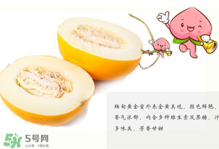 黃金瓜熱量高嗎？黃金瓜會(huì)胖嗎？