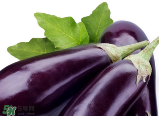 茄子怎么挑選？如何挑選茄子？