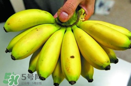 芭蕉不熟可以吃嗎？芭蕉怎么催熟