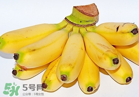 芭蕉熱量高嗎？芭蕉可以減肥嗎