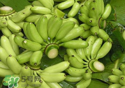 芭蕉如何保存時間久？青芭蕉摘下來怎么保存