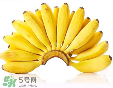 芭蕉和香蕉哪個(gè)貴？芭蕉和香蕉哪個(gè)好