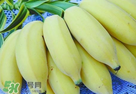 芭蕉里面的黑籽是什么？芭蕉是草本類還是木本類