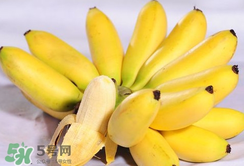 芭蕉可以空腹吃嗎？空腹吃芭蕉有什么危害