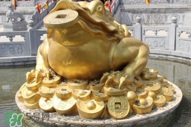 蟾蜍能活多久？蟾蜍可以活多少年