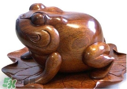 蟾蜍有什么寓意？為什么蟾蜍被寓意為招財(cái)？