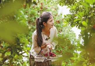 仙居楊梅在哪里？仙居楊梅哪里最好？