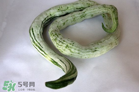 蛇瓜怎么挑選？蛇瓜的選購技巧
