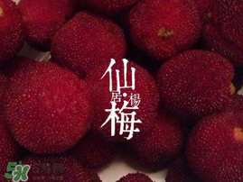 仙居楊梅多少錢(qián)一斤？仙居楊梅多少錢(qián)一斤2017？