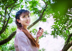 仙居楊梅在哪里？仙居楊梅哪里最好？