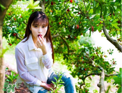 仙居楊梅在哪里？仙居楊梅哪里最好？