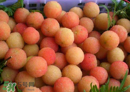 白楊梅可以泡酒嗎？白楊梅泡酒有什么功效？