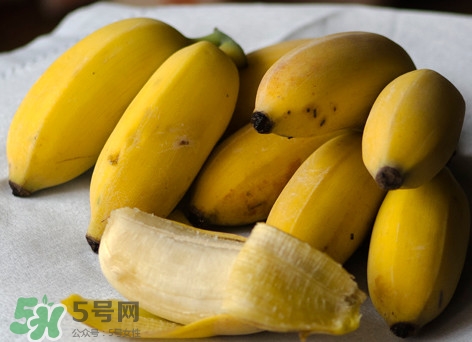 皇帝蕉是不是香蕉？皇帝蕉與普通香蕉區(qū)別