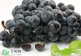 無籽葡萄有哪些品種？無籽葡萄多少錢一斤？