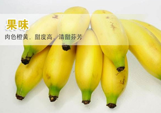 皇帝蕉多少錢一斤？2017皇帝蕉價格