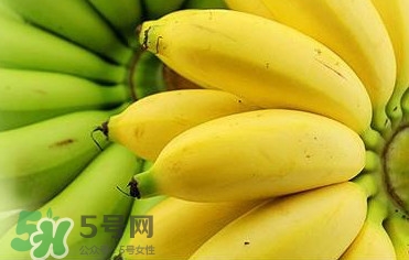 帝王蕉多少錢一斤？帝王蕉是轉(zhuǎn)基因香蕉嗎