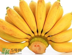 皇帝蕉是不是香蕉？皇帝蕉與普通香蕉區(qū)別