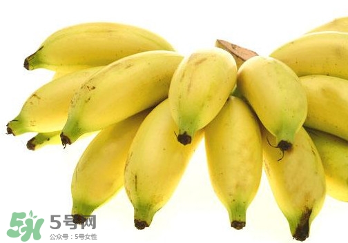 帝王蕉是芭蕉嗎？帝王蕉和芭蕉的區(qū)別