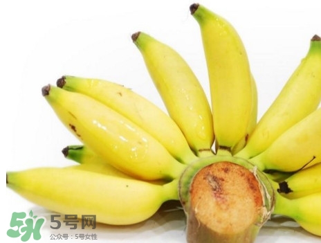 皇帝蕉有什么好處？皇帝蕉的功效與作用