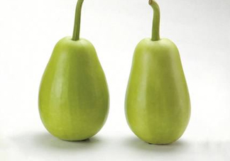 苦瓠子有毒嗎？苦瓠子中毒怎么辦？
