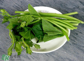 南瓜葉怎么處理？南瓜葉怎么炒？