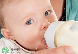 世界一線(xiàn)的奶粉品牌有哪些？全球一流的品牌奶粉有哪些？