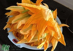 南瓜花有什么作用？南瓜花的作用及禁忌