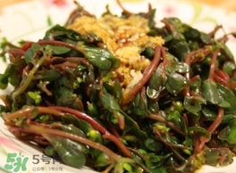 螞蚱菜怎么炒好吃？螞蚱菜做法有哪幾種