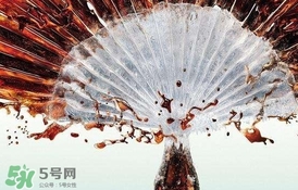 運(yùn)動后可以喝可樂嗎？運(yùn)動后喝可樂會胖嗎？