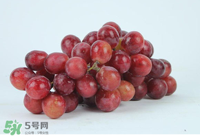 紅提多少錢一斤？紅提子多少錢一斤？
