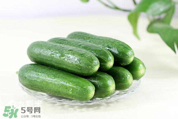 水果黃瓜常溫能放多久？水果黃瓜怎么保存？