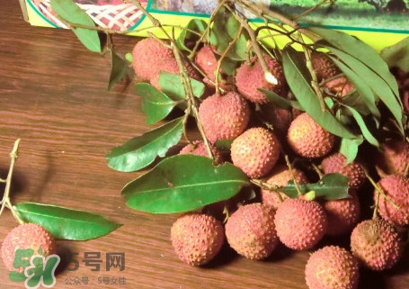 掛綠荔枝什么時(shí)候上市？掛綠荔枝什么時(shí)候成熟