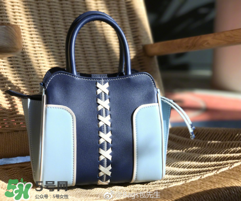 tod's與包先生聯(lián)名合作款折耳包包尺寸多大？