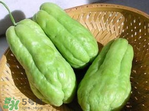 佛手瓜發(fā)芽了可以吃嗎？佛手瓜怎么吃？