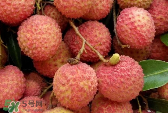 掛綠荔枝什么時(shí)候上市？掛綠荔枝什么時(shí)候成熟