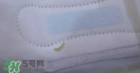 高潔絲衛(wèi)生巾有蟲(chóng)嗎？高潔絲衛(wèi)生巾有熒光劑