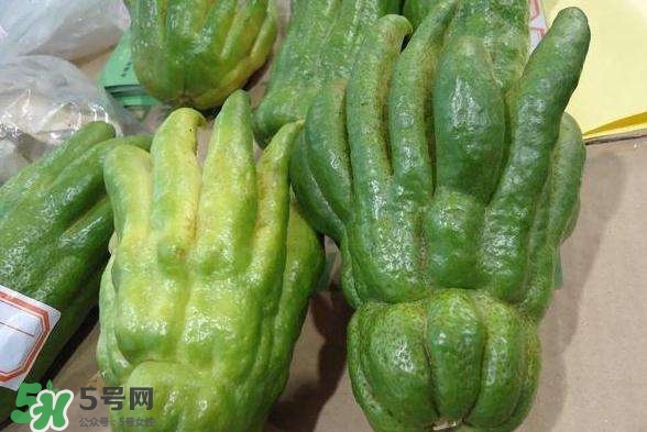 佛手與佛手瓜有什么區(qū)別？佛手與佛手鉗有什么區(qū)別