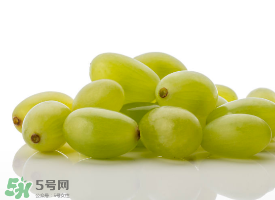 青提是轉基因嗎？青提怎么挑？