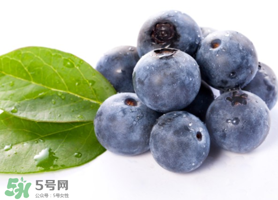 藍(lán)莓是什么顏色？藍(lán)莓泡水什么顏色？
