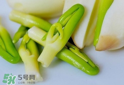 蓮子心與什么搭配好？蓮子心泡茶什么人不能喝