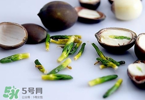 蓮子心能吃嗎？蓮子心是藥食同源嗎