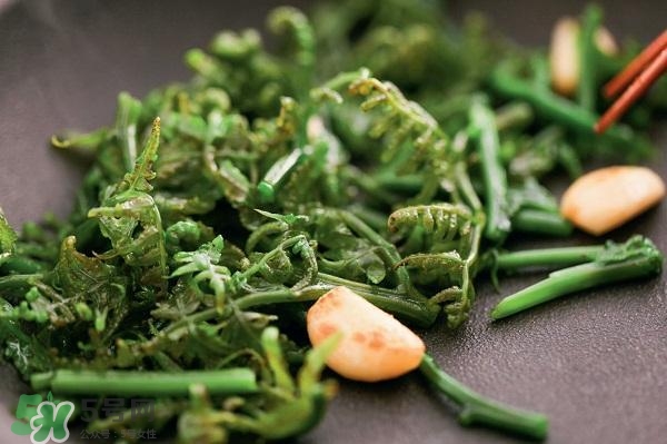龍須菜怎么清洗？龍須菜怎么處理？
